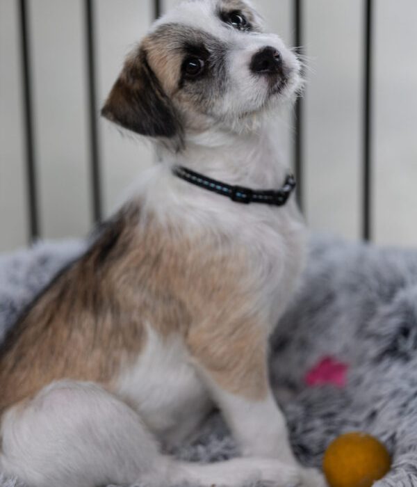 20250908-IMG_0252 20250908-IMG_0252